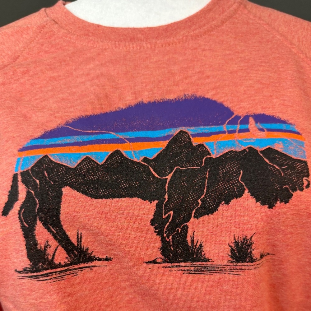 Patagonia Women Small Coral Pink Bison Mountain Graphic Sweatshirt Pullover